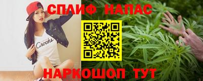 шишки Лесосибирск